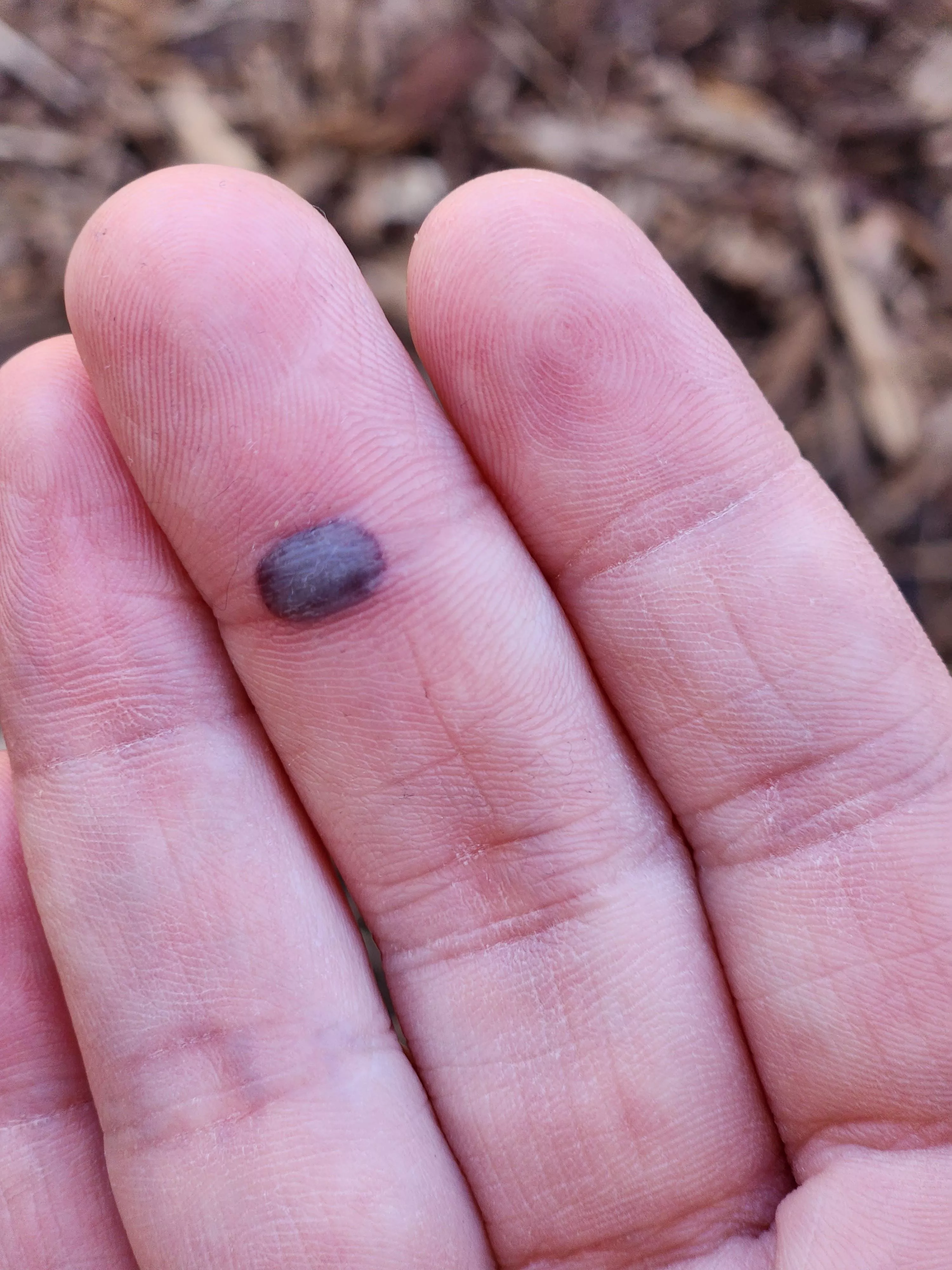 If this gets 17 upvotes I'll post a video posted by angeliswastaken_sock