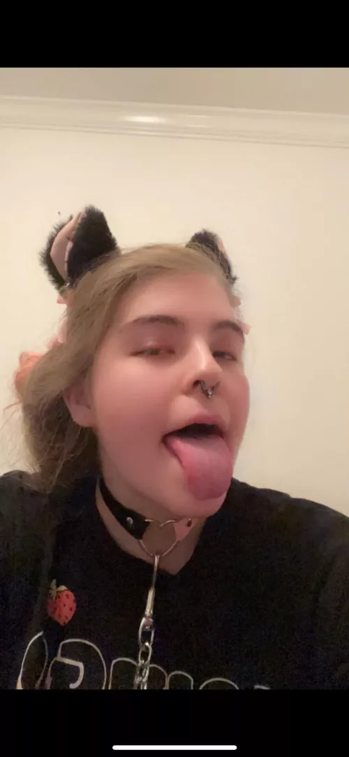 Kitty by Few-Lab6352