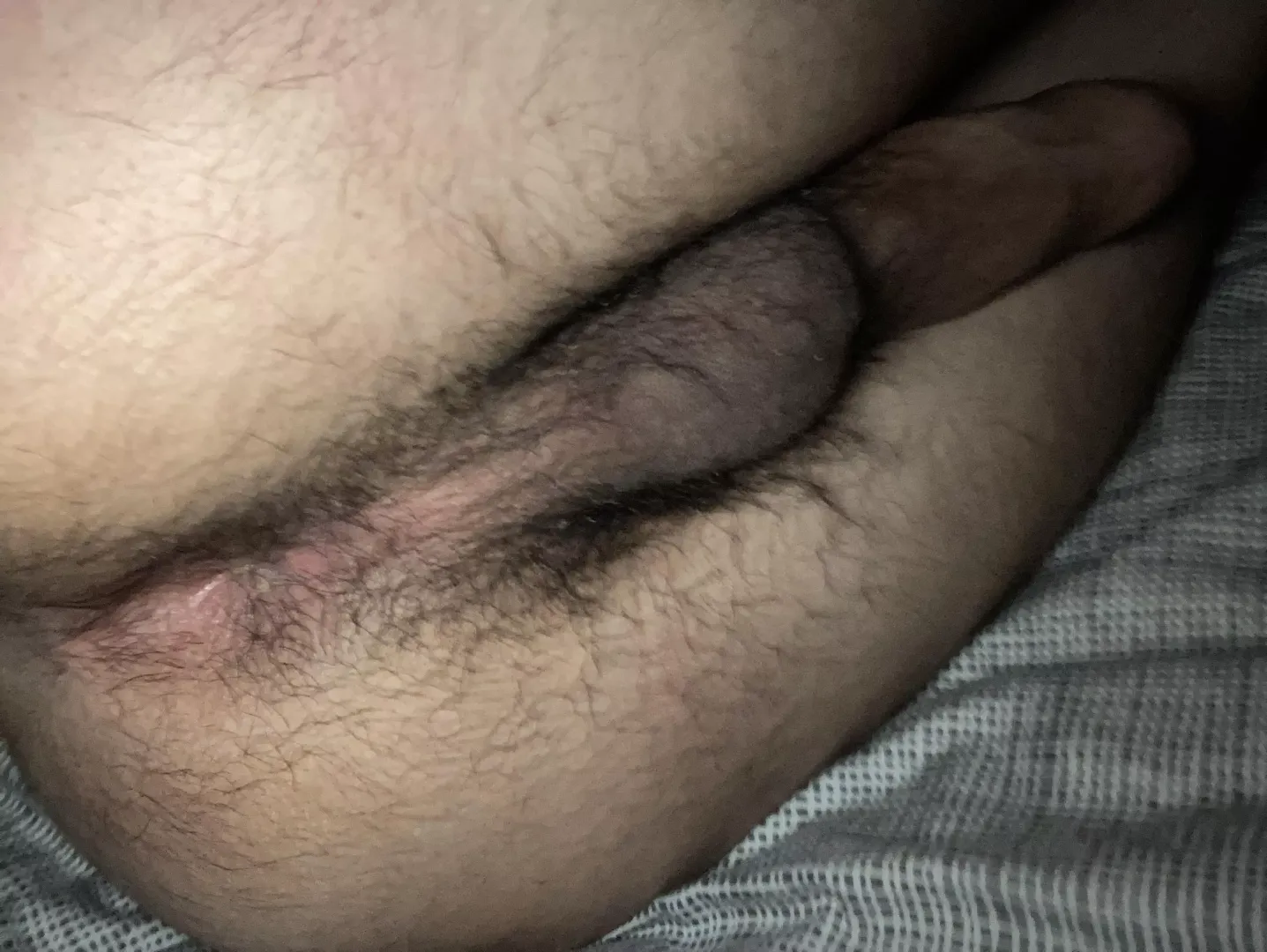 Like my tight hairy hole? by Puzzleheaded-Sky7845