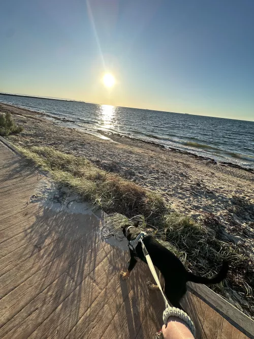Love the beach views in the morning by spicyrachh