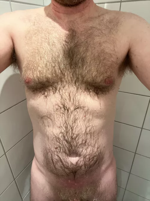 M49 - hairy chest by NoggieNog