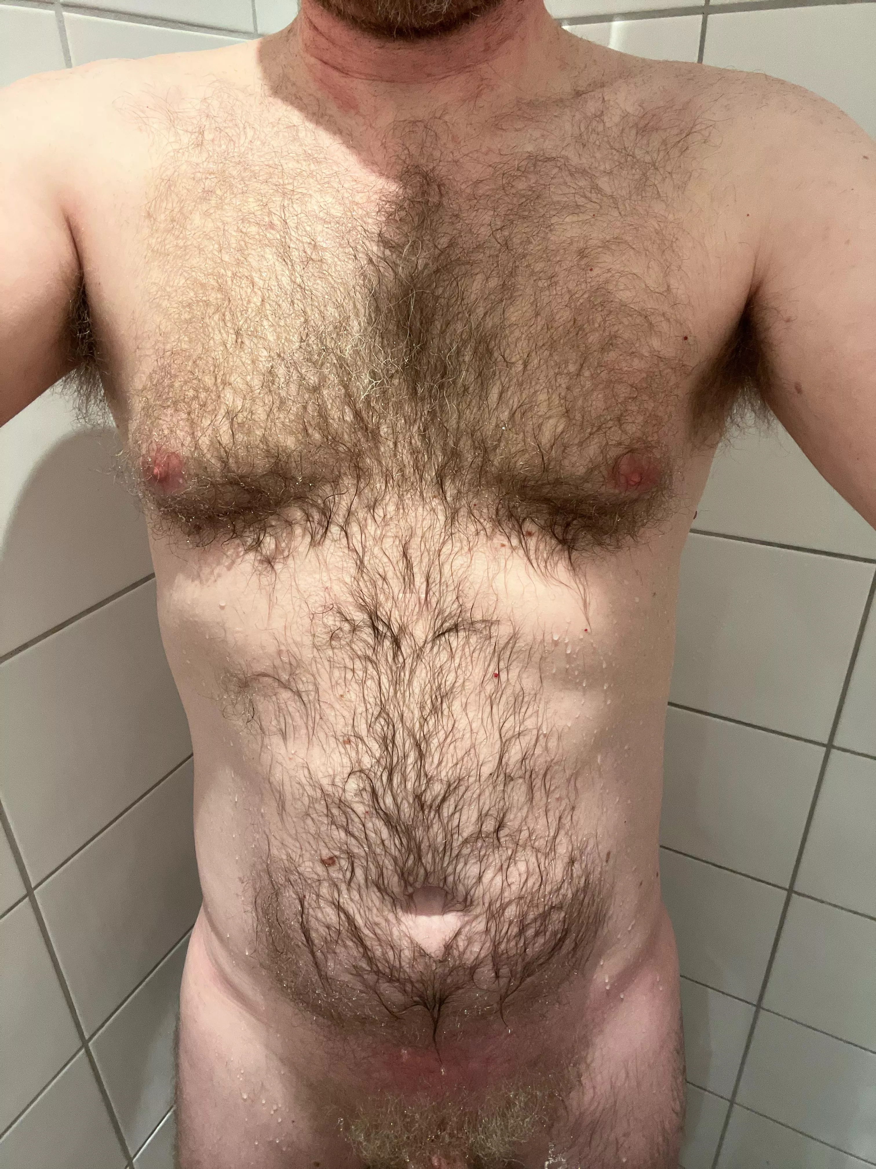 M49 - hairy chest posted by NoggieNog