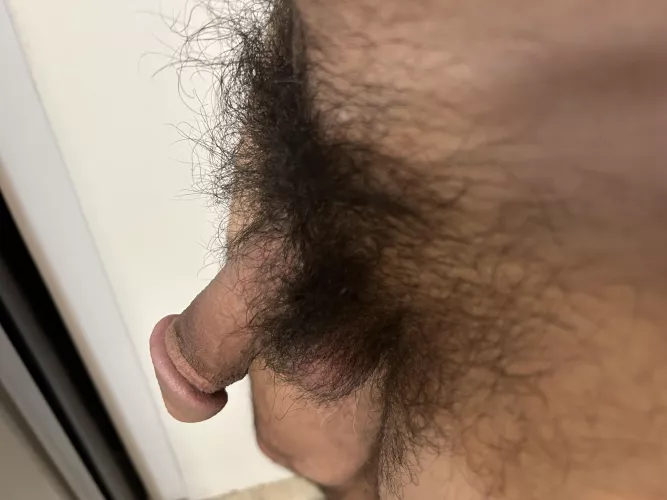 Morning softie by North-Yard398