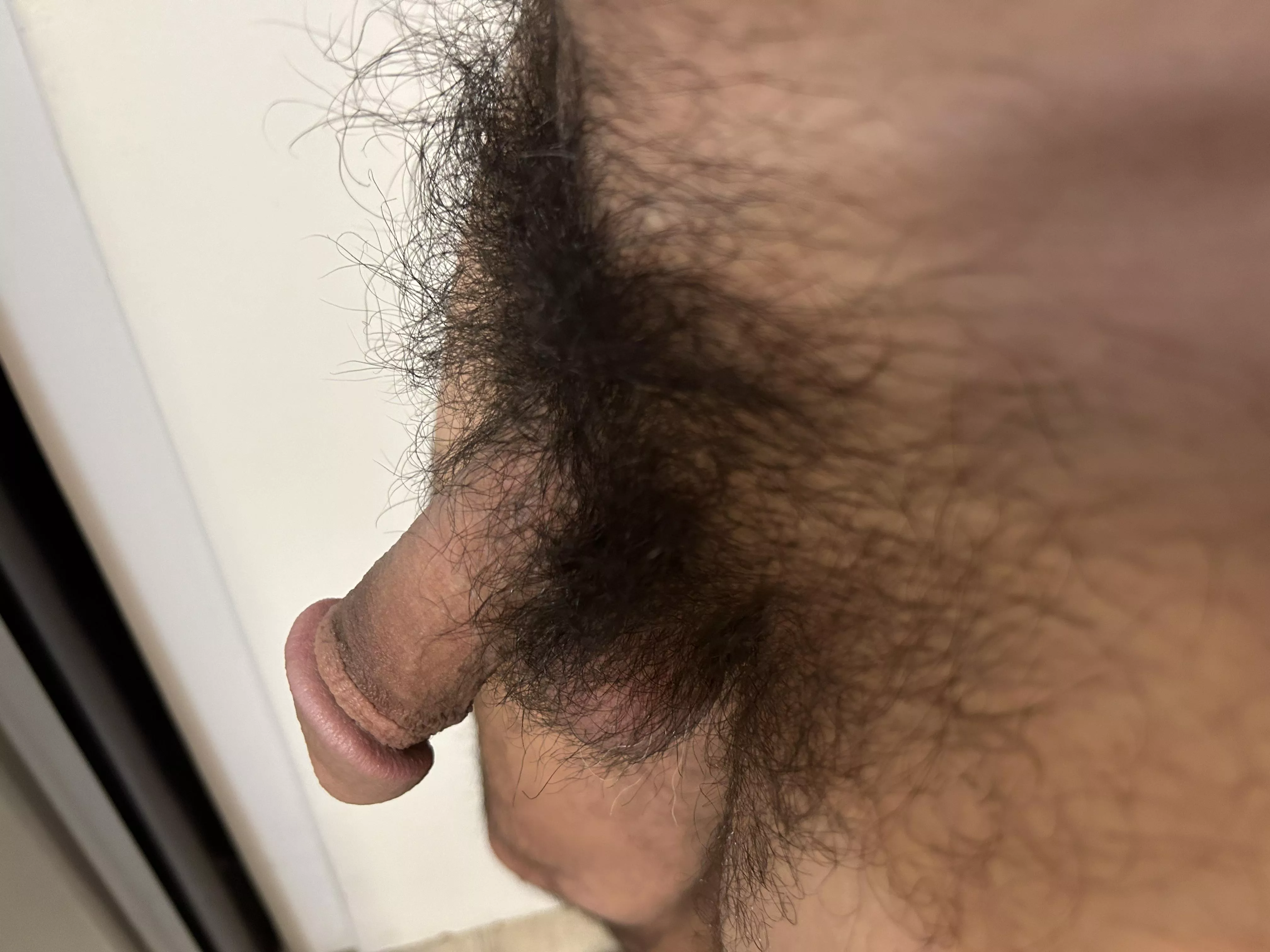 Morning softie posted by North-Yard398