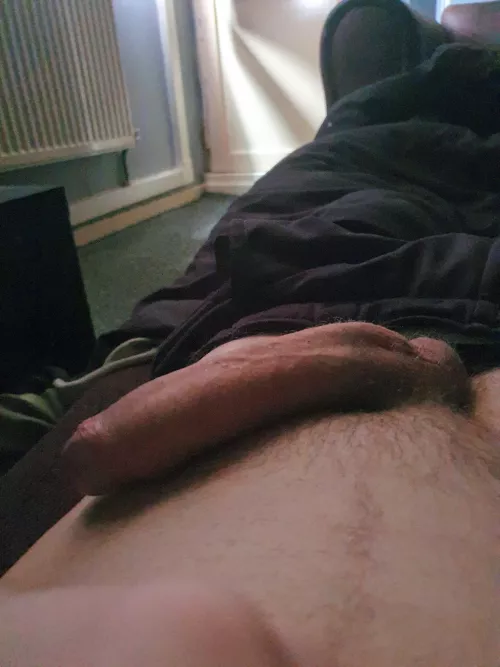 Morning wood by Chemical-Worker-1224