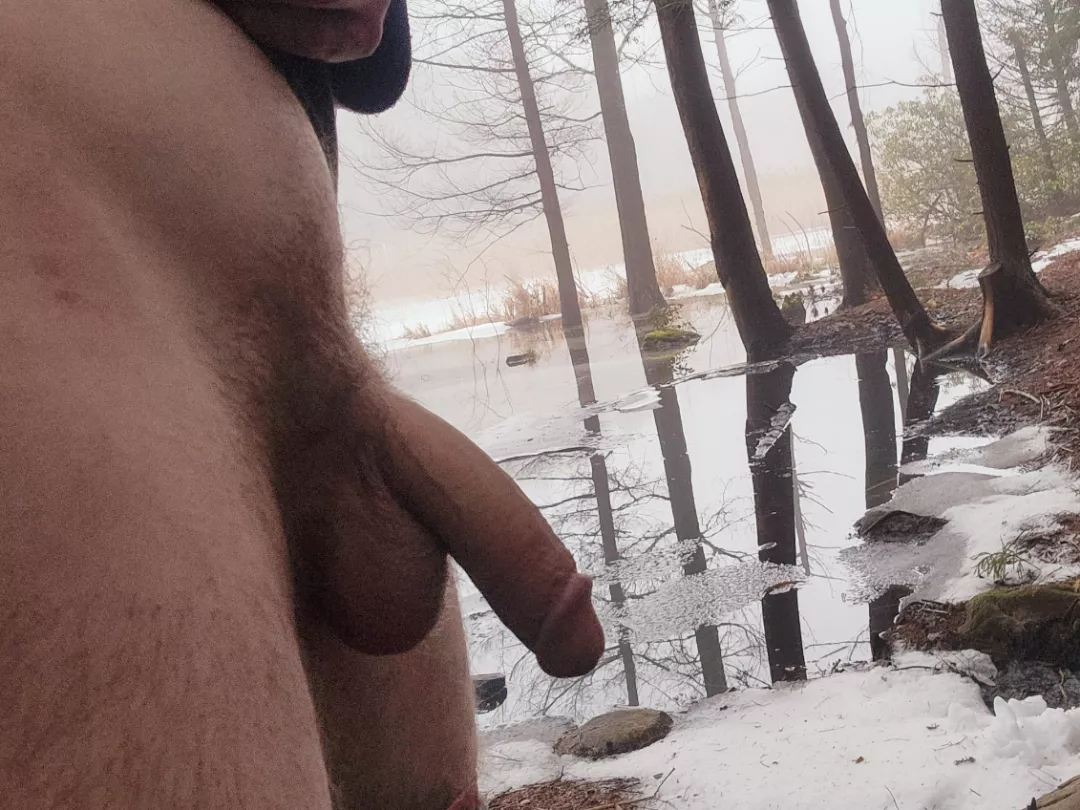 Nature bush posted by AndyAnthers