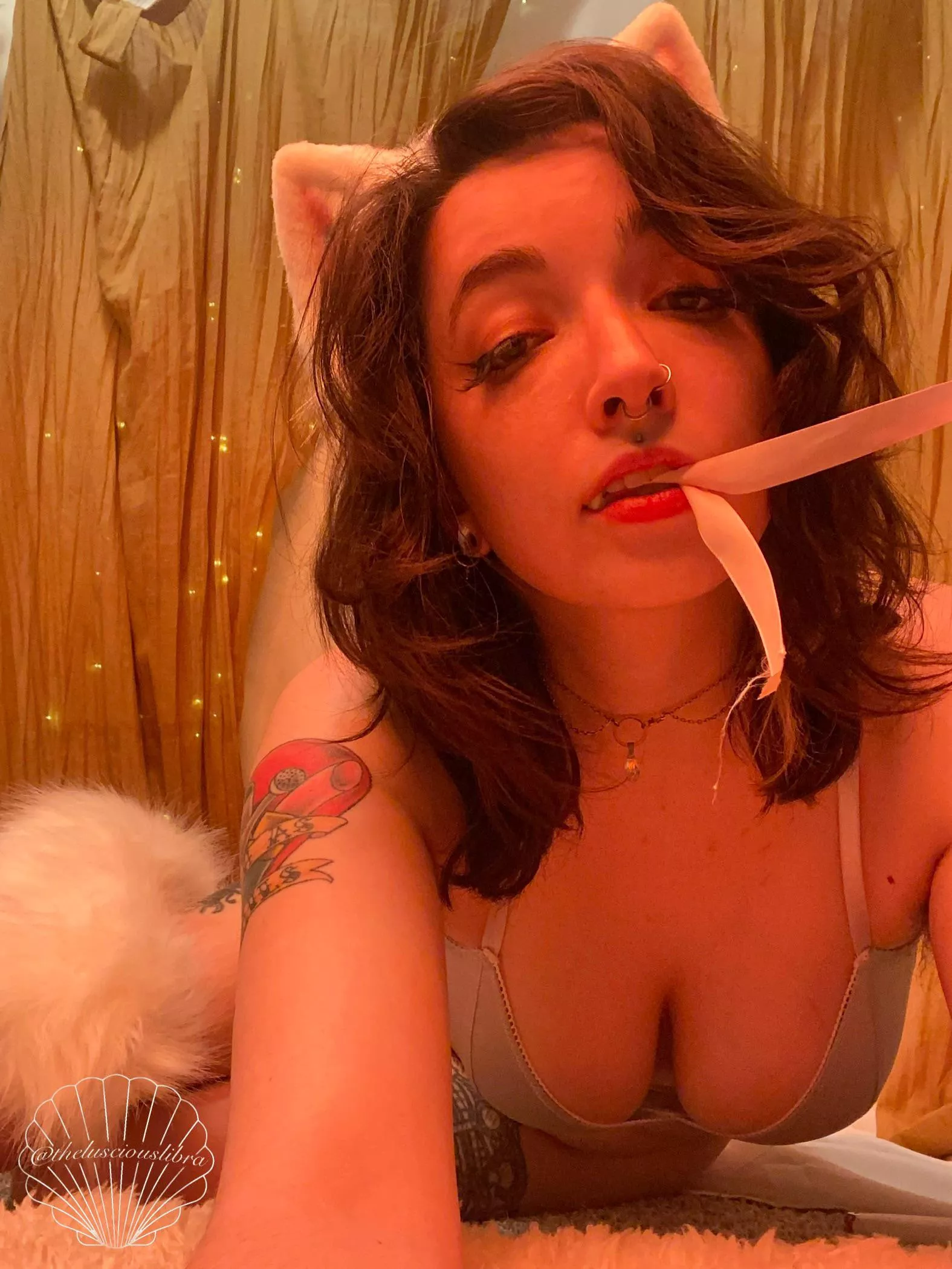 One spoiled kitty 🐾 posted by thelusciouslibra