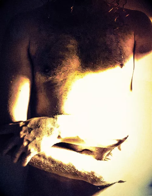 Sunburst by No-Conclusion3508