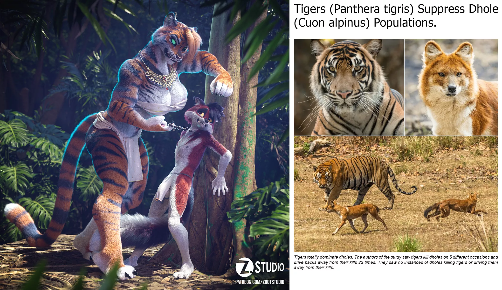 Tigers totally dominate dholes. [MF] (zdotstudio) posted by Zorryn_Art