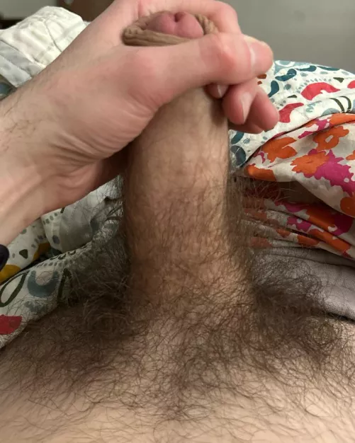 Why do you guys think you became attracted to men with pubic hair in the first place? by XenoNSFW3