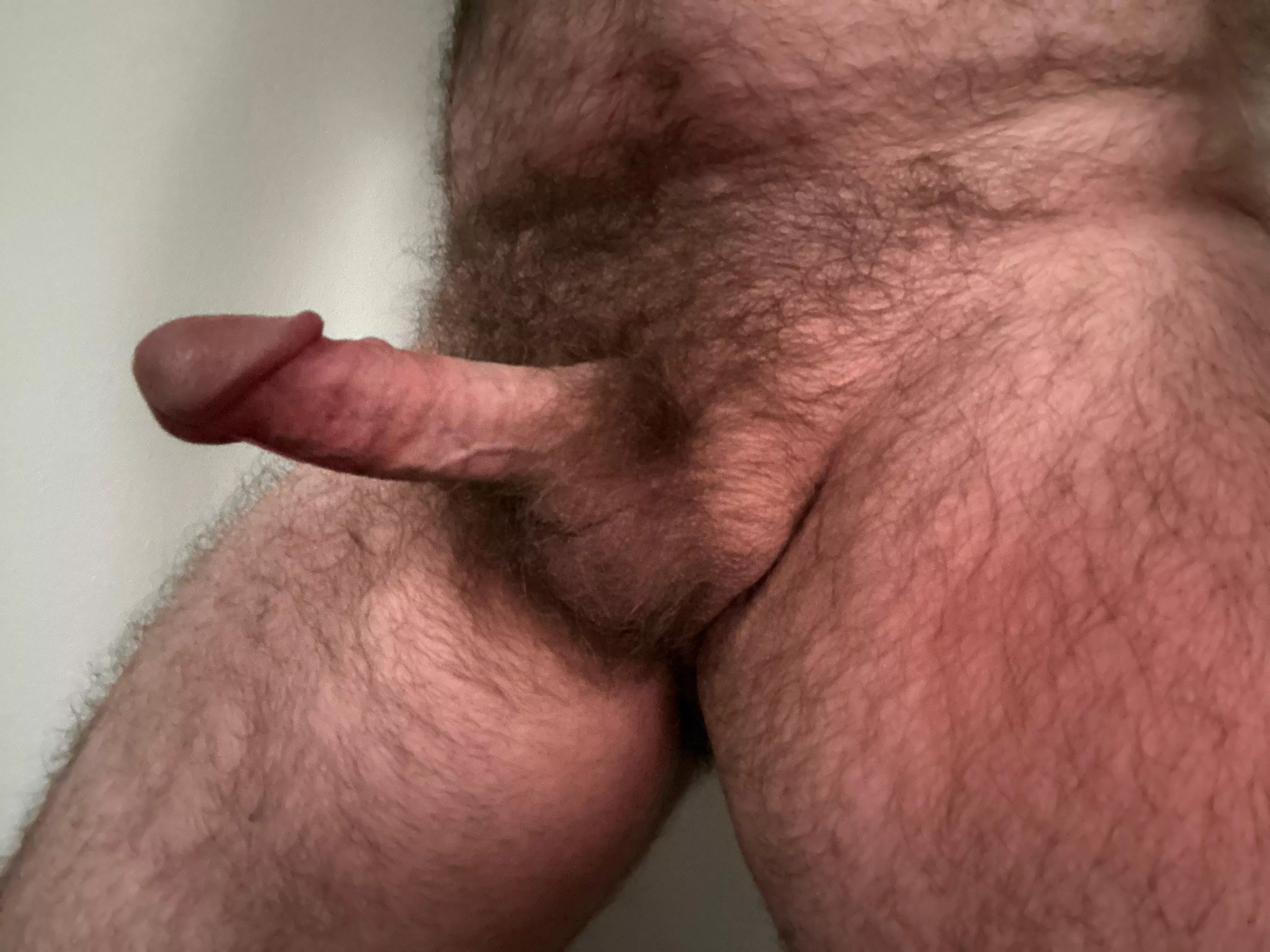 38 m married - have no interest in shaving anytime soon posted by framehandle