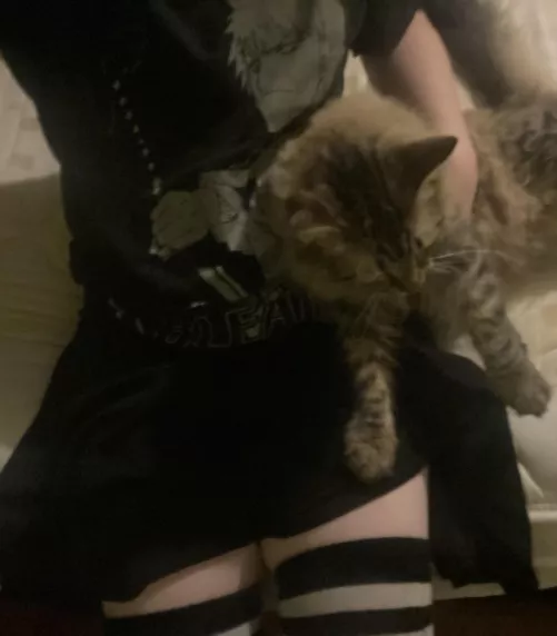 Bored asfff by Sorry-Woodpecker4227