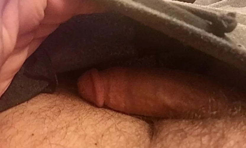 Can't seem to sleep... neither can he... by brevan75