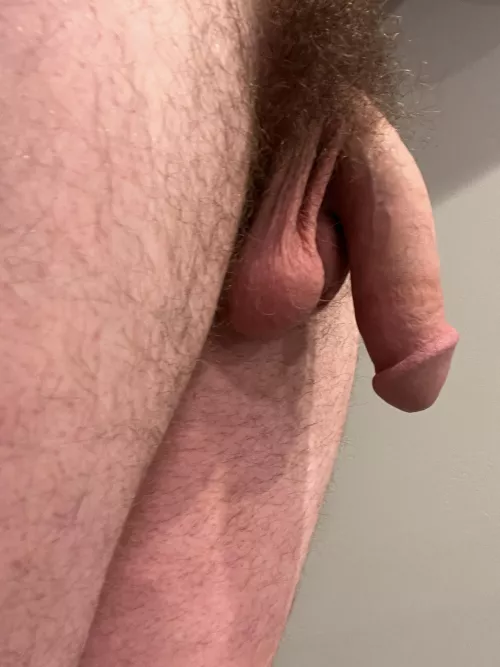 Do y'all think I should shave it? I would love to chat and trade with everyone! by jackgamge