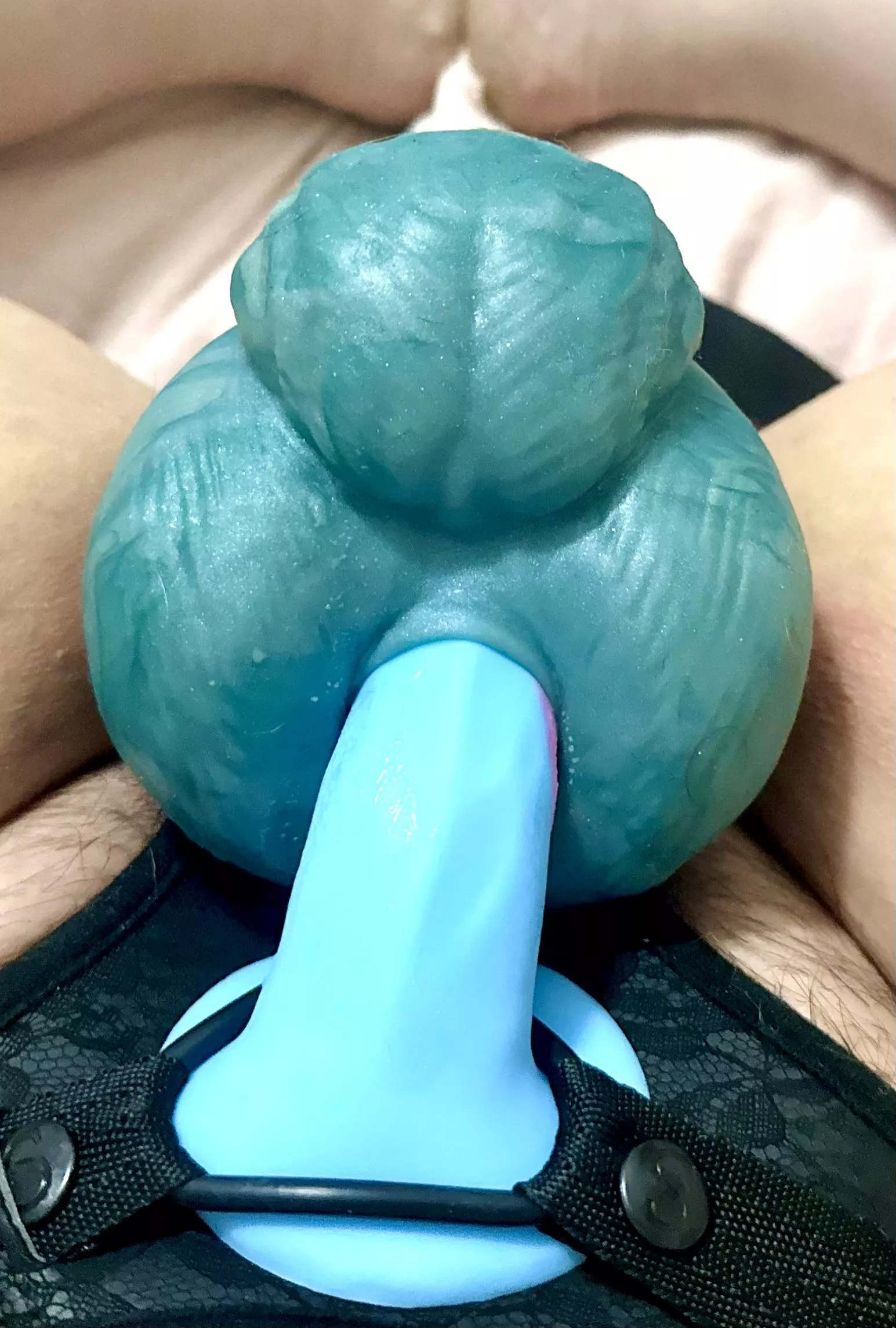 Enjoying a fun little evening with Snowball. He does have such a pretty little backside and goodness knows I love that about him as much as I love stuffing him! posted by QT-Kat