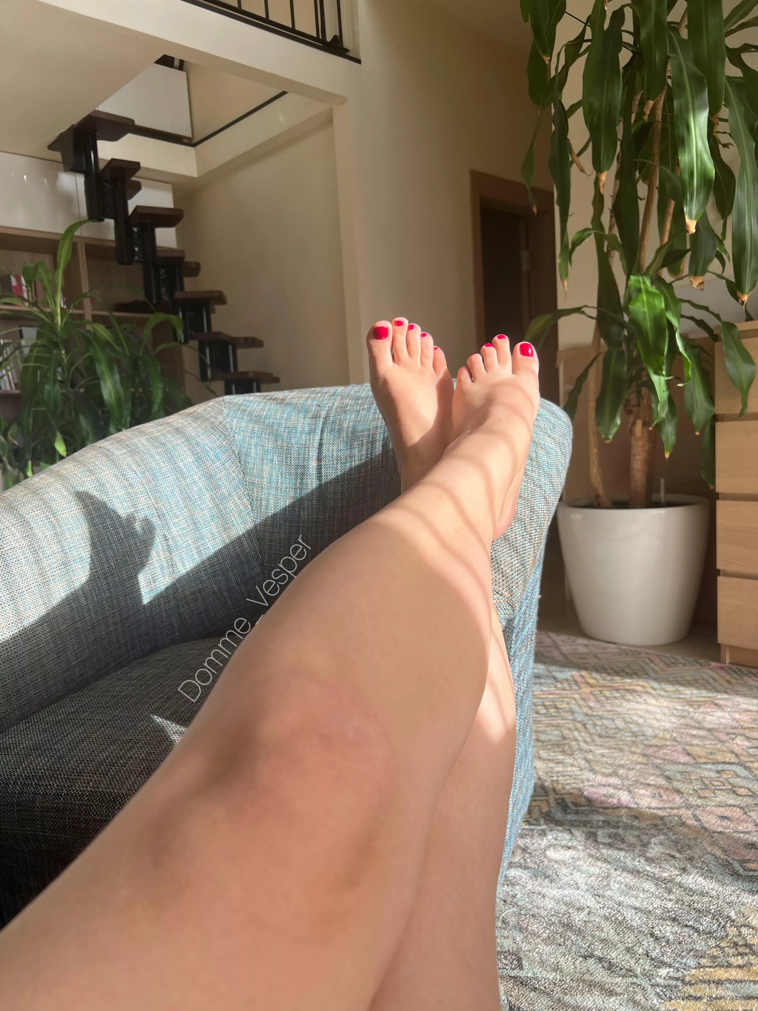 Finally some sunshine caresses my beautiful legs and perfect feet. You should worship them too posted by Domme_Vesper