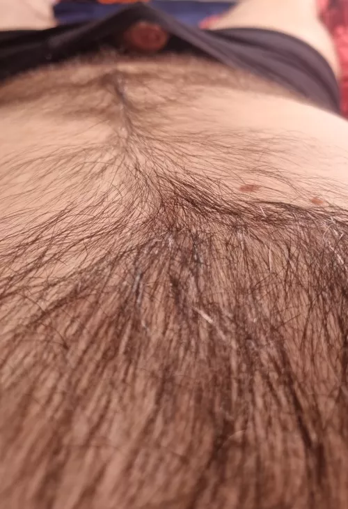 Follow the trail to the cave by Adventurous-Seat-747