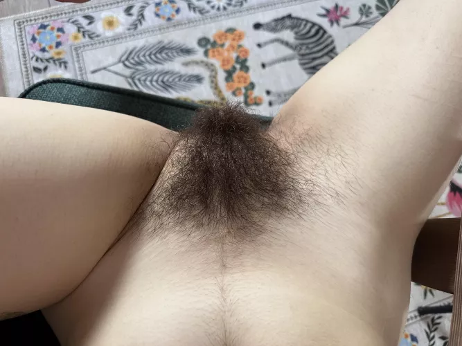 I wonder if hairy pussy tastes better before or after a shower by Creative-Strength-17