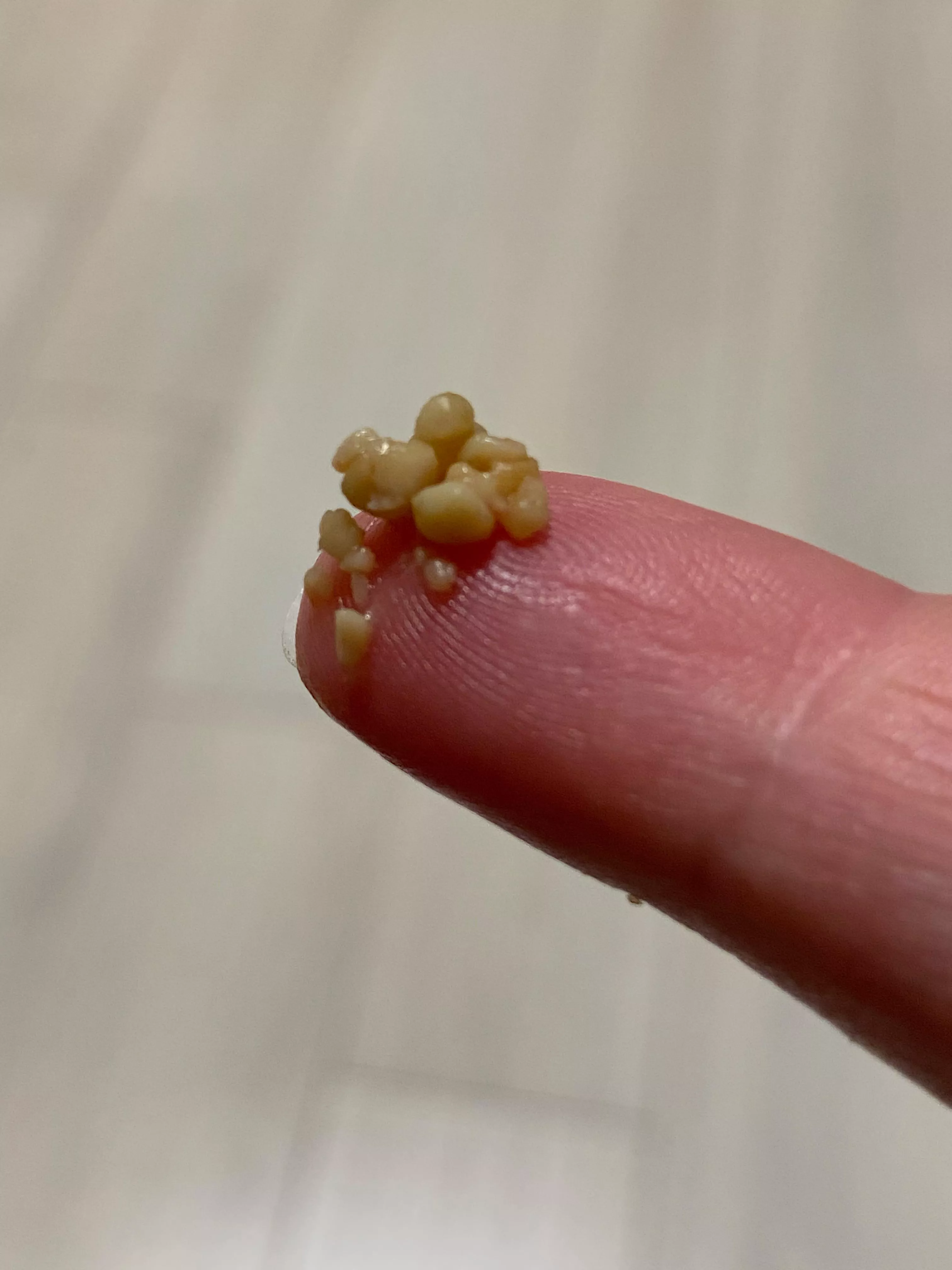 It just kept going and frankly, I’m a bit disgusted with myself. posted by unicorn_hair_core