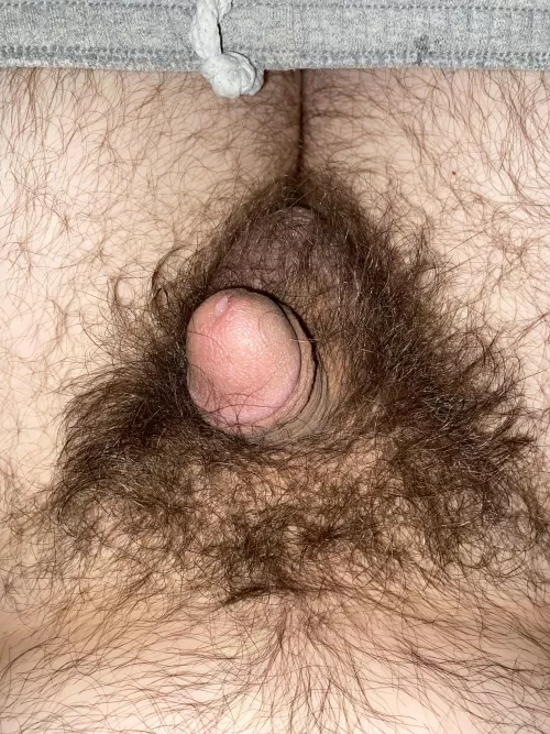 Little guy by shedlife05