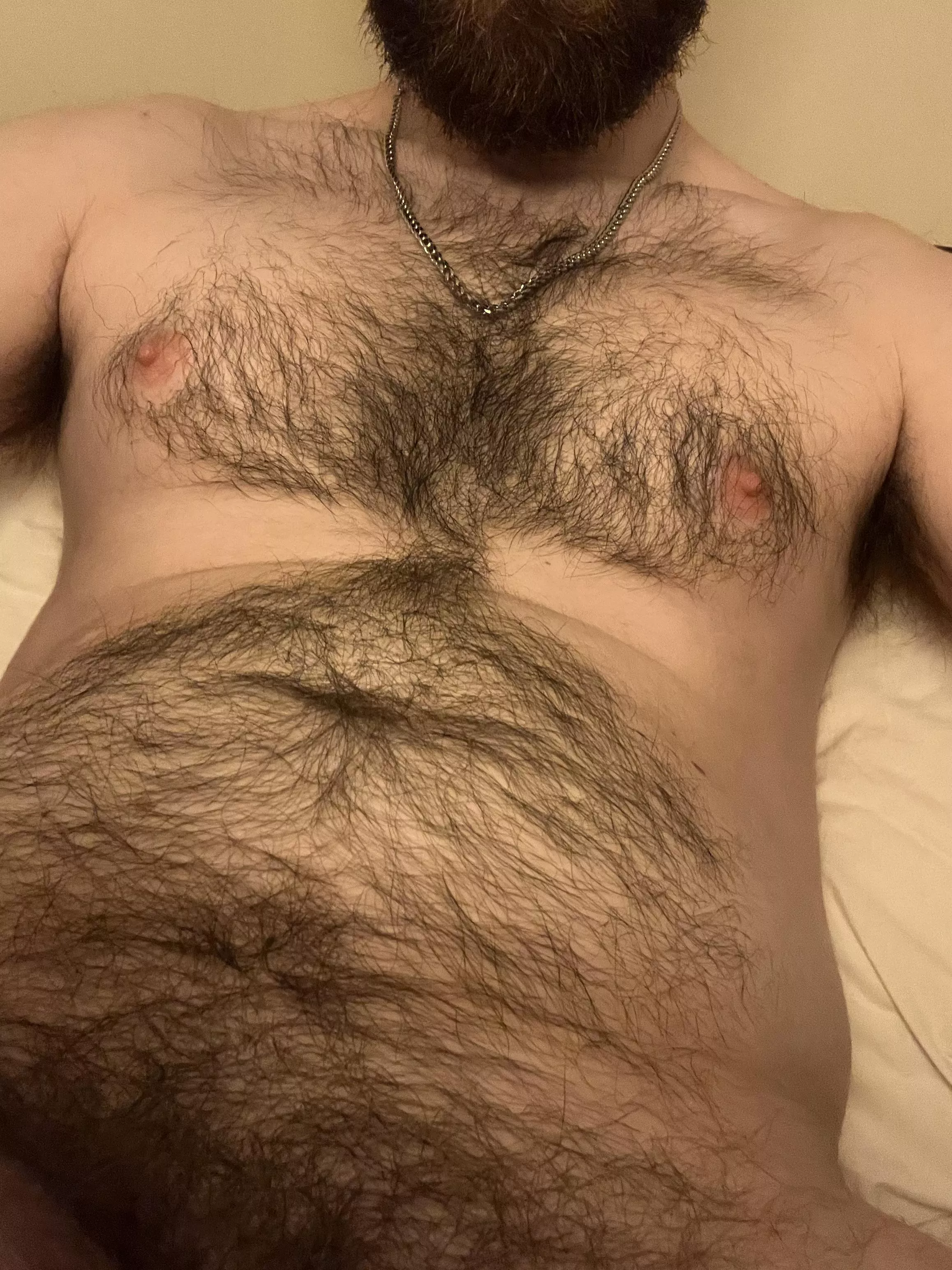 Need this pelt stroked 😇 posted by Red-Bat1