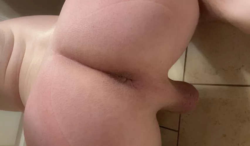 On all fours by 2000lumens