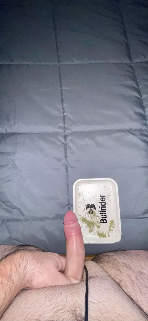 Saturday night (m)eaty dick by Additional_Bear_5696