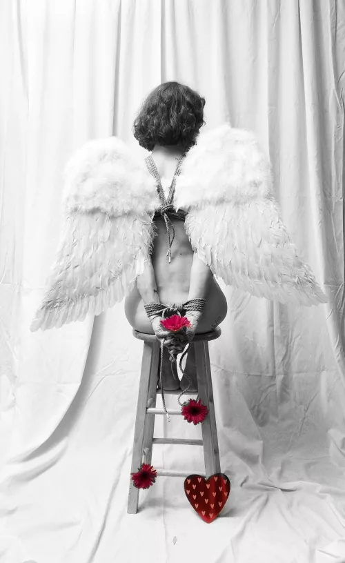 Shibari Cupid by agron4571