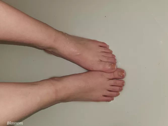 They're just a little wet 😌 by blossoml0v3