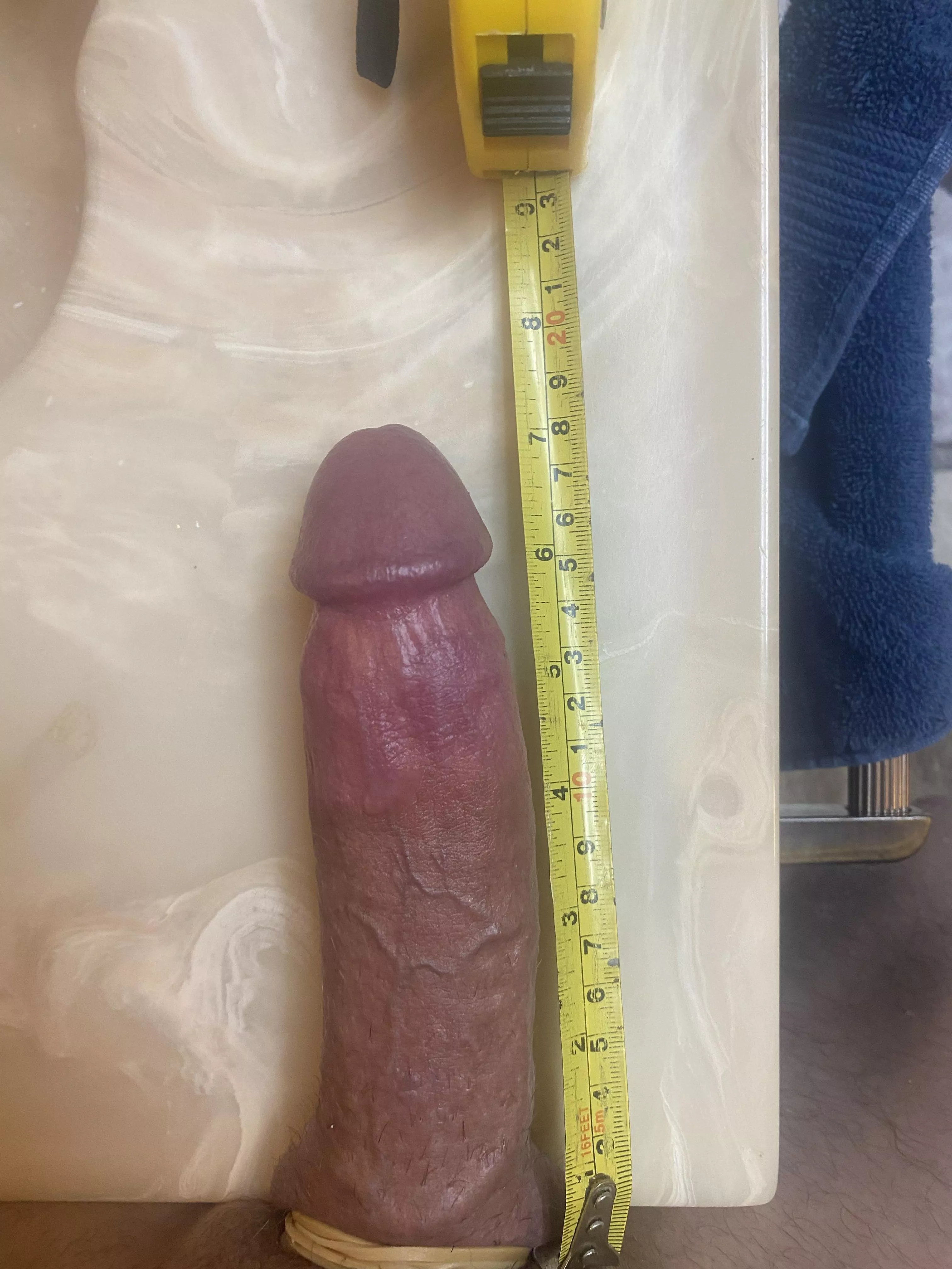 Throbbing! What do we think? posted by Sudden-Badd