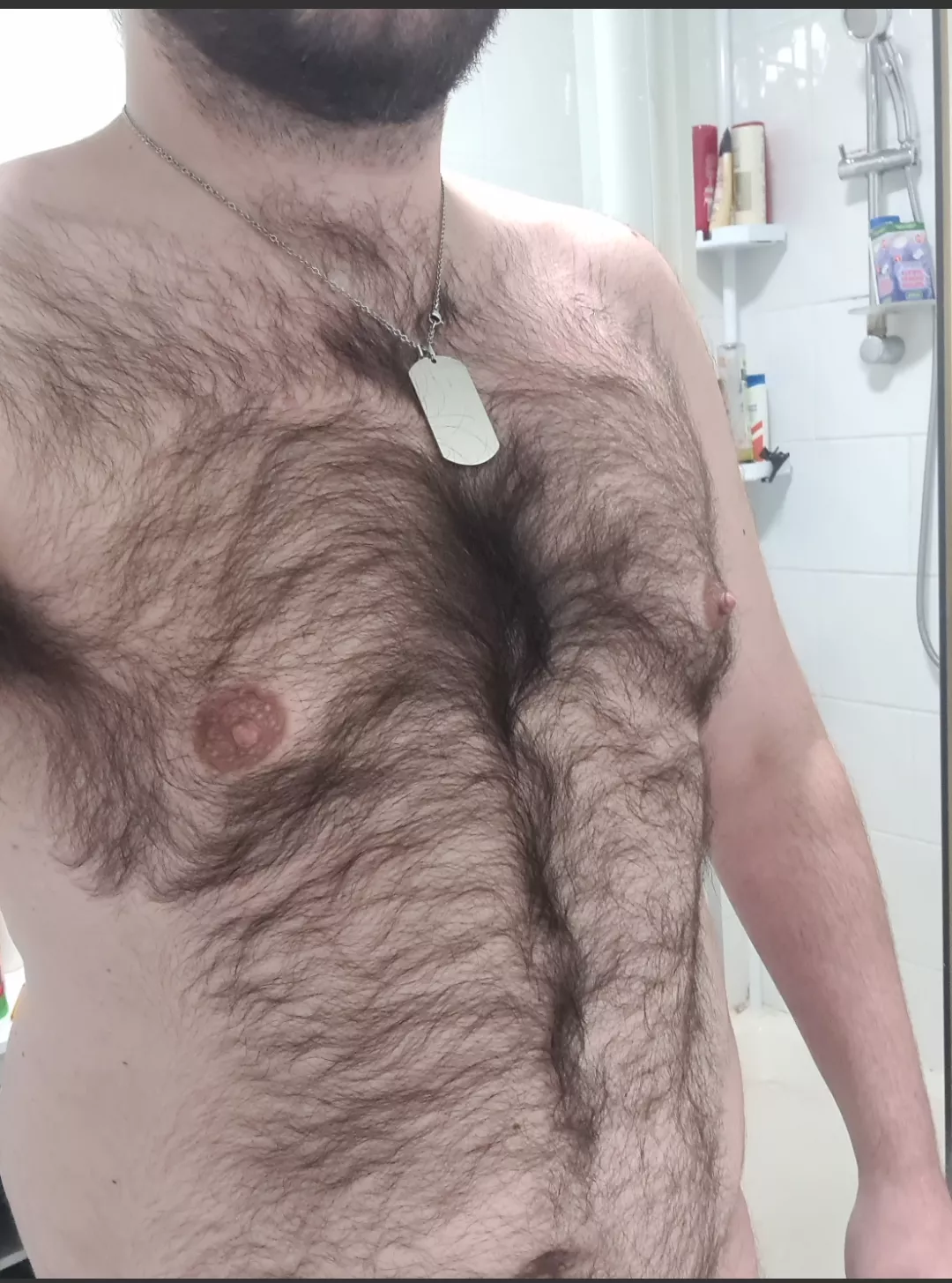 What you think of my bear bfs chest posted by rickcom