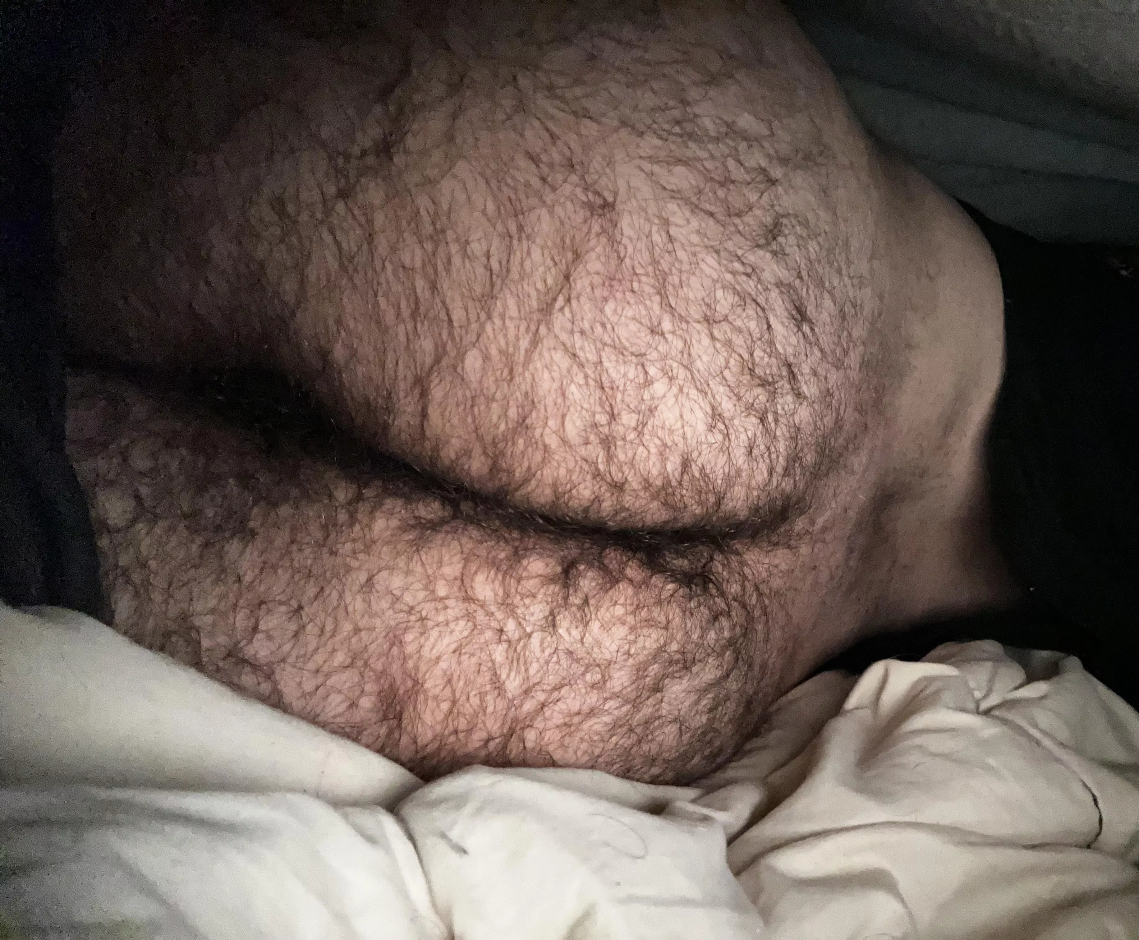 21 up for some fun under the sheets? posted by Heliam_phlora