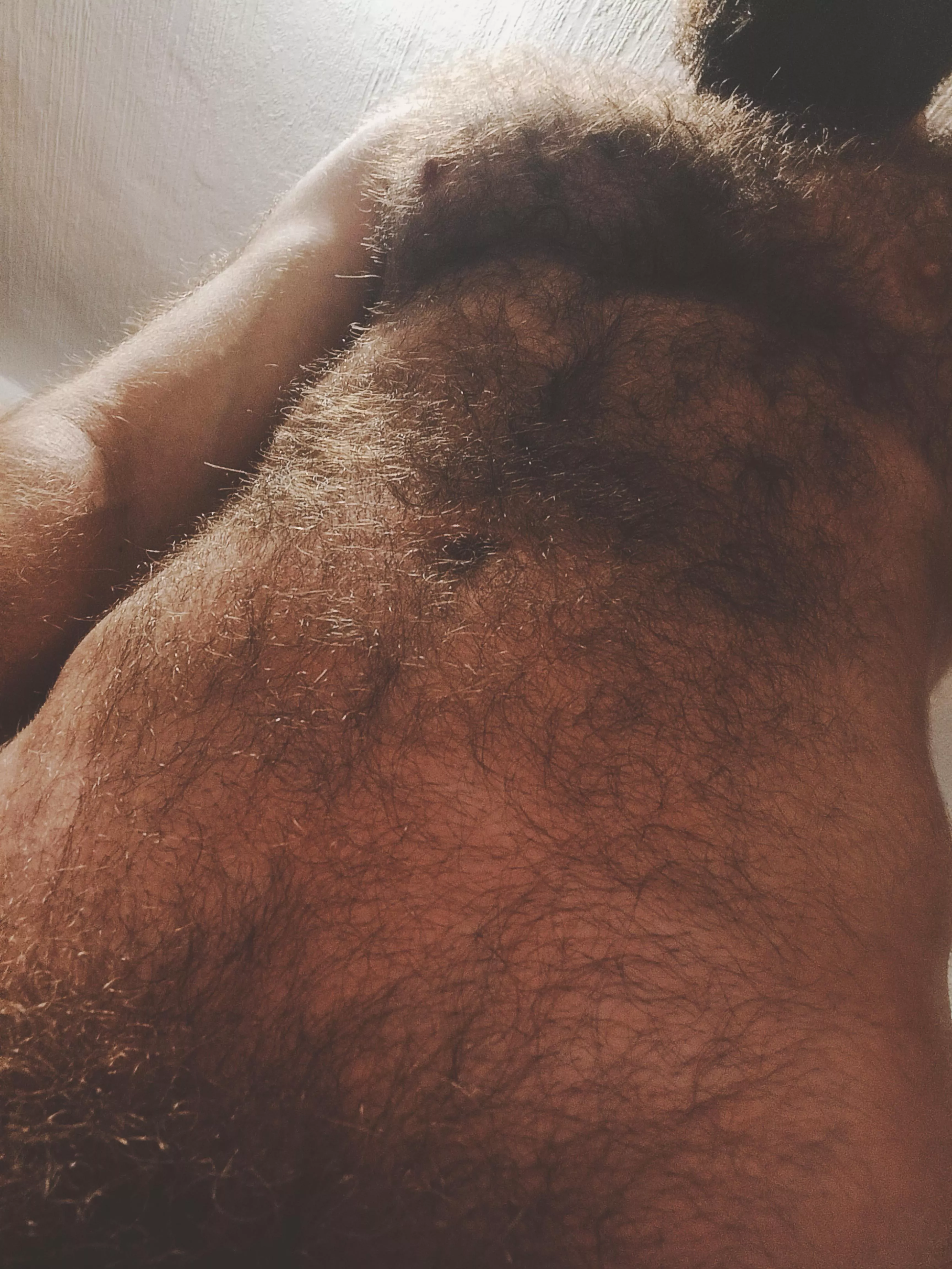 [30] Still an otter or already a dad? posted by Meffyu3