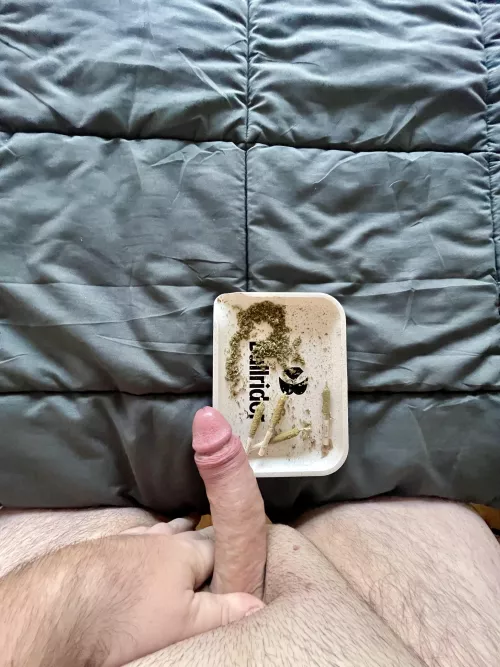 All set for (m)y Sunday night, bong and pre—rolls 😏 by Additional_Bear_5696