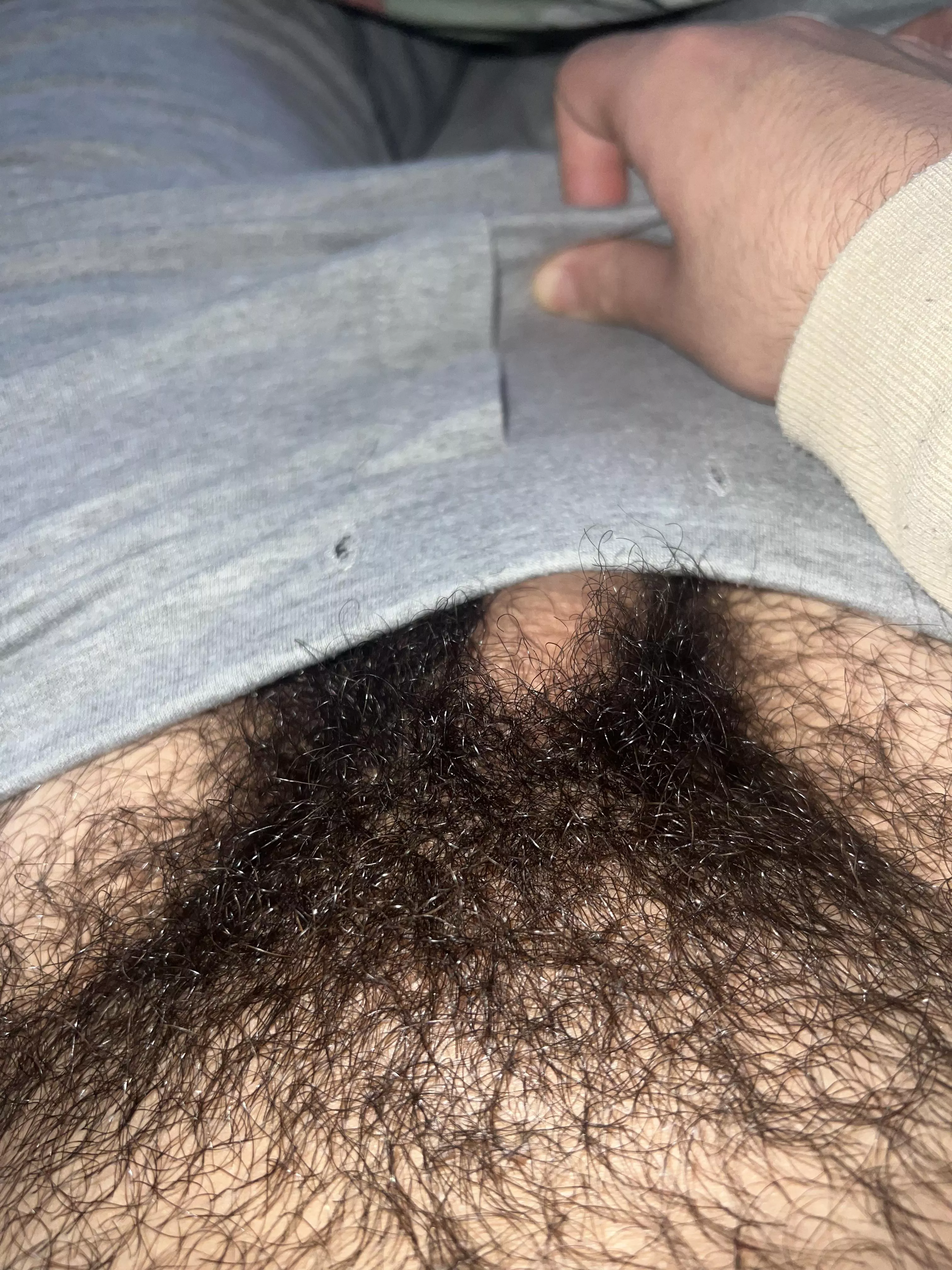 Do you like my bush? posted by Former_Judge6015