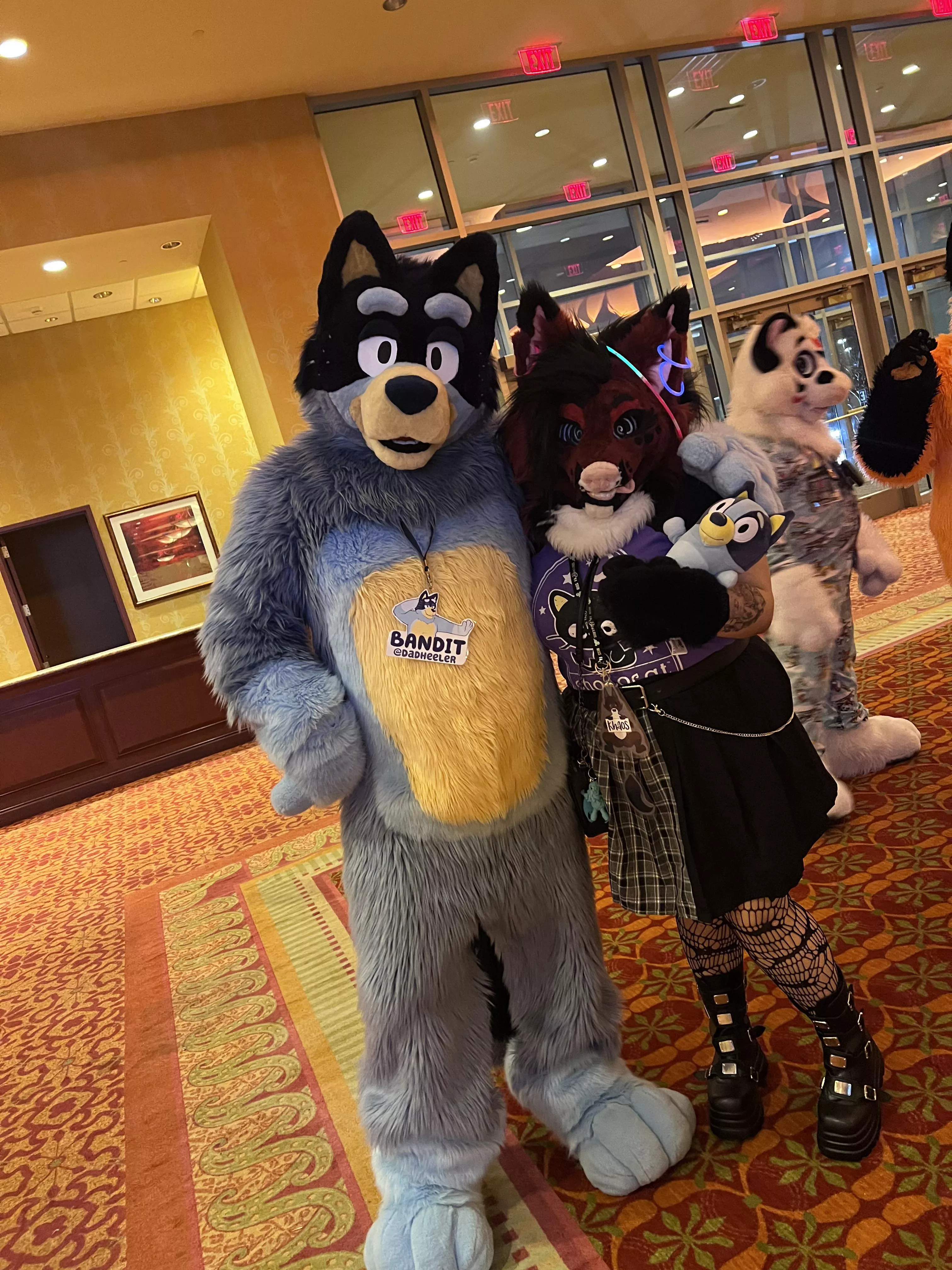 Finally got to meet bandit! He held my bluey. posted by femmeflesheater