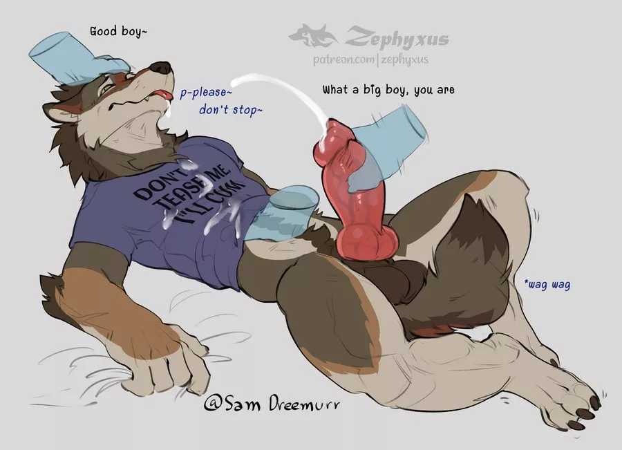 Good Boy~ (Zephyxus) posted by Aware_Ad3250