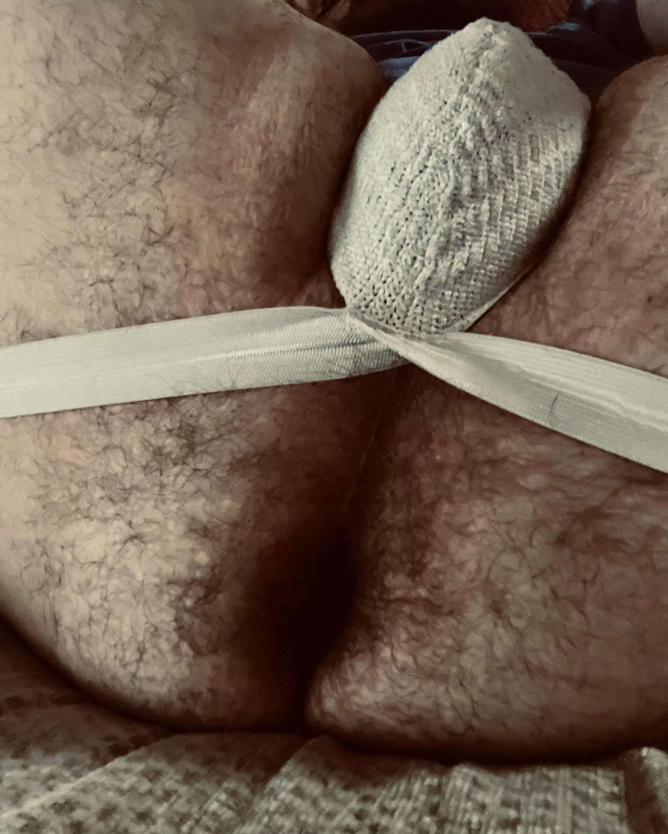 Hairy bear hole posted by scotpuphandler