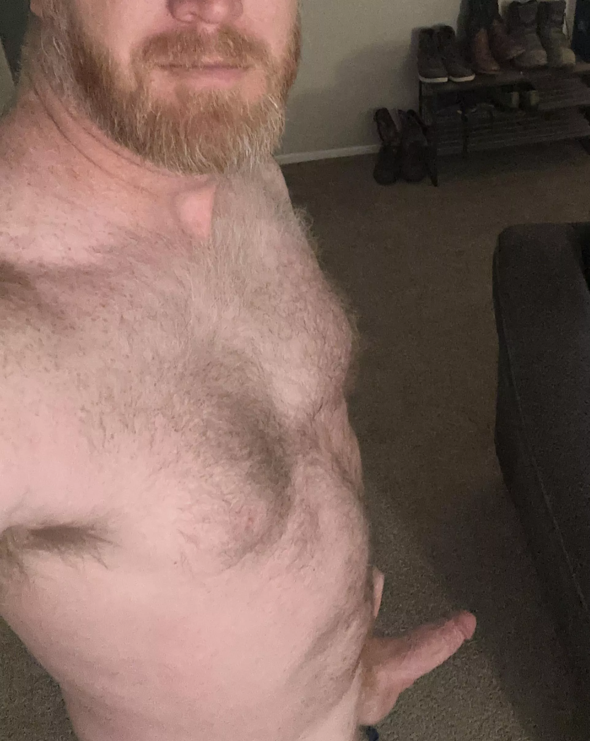 Happy Monday! I could really use a lick! posted by bearfedging