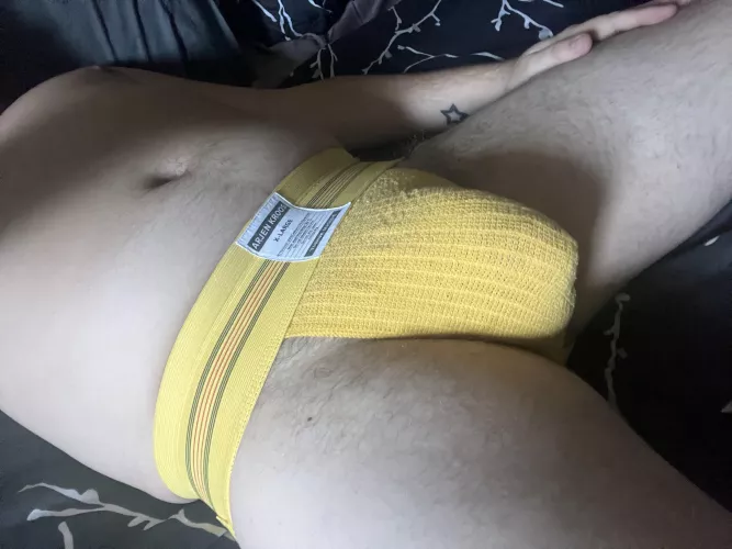 Home after a long day at work. by pawoff12