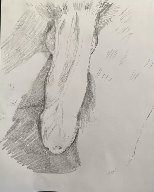 I can draw your dick by Still_Explorer_6519