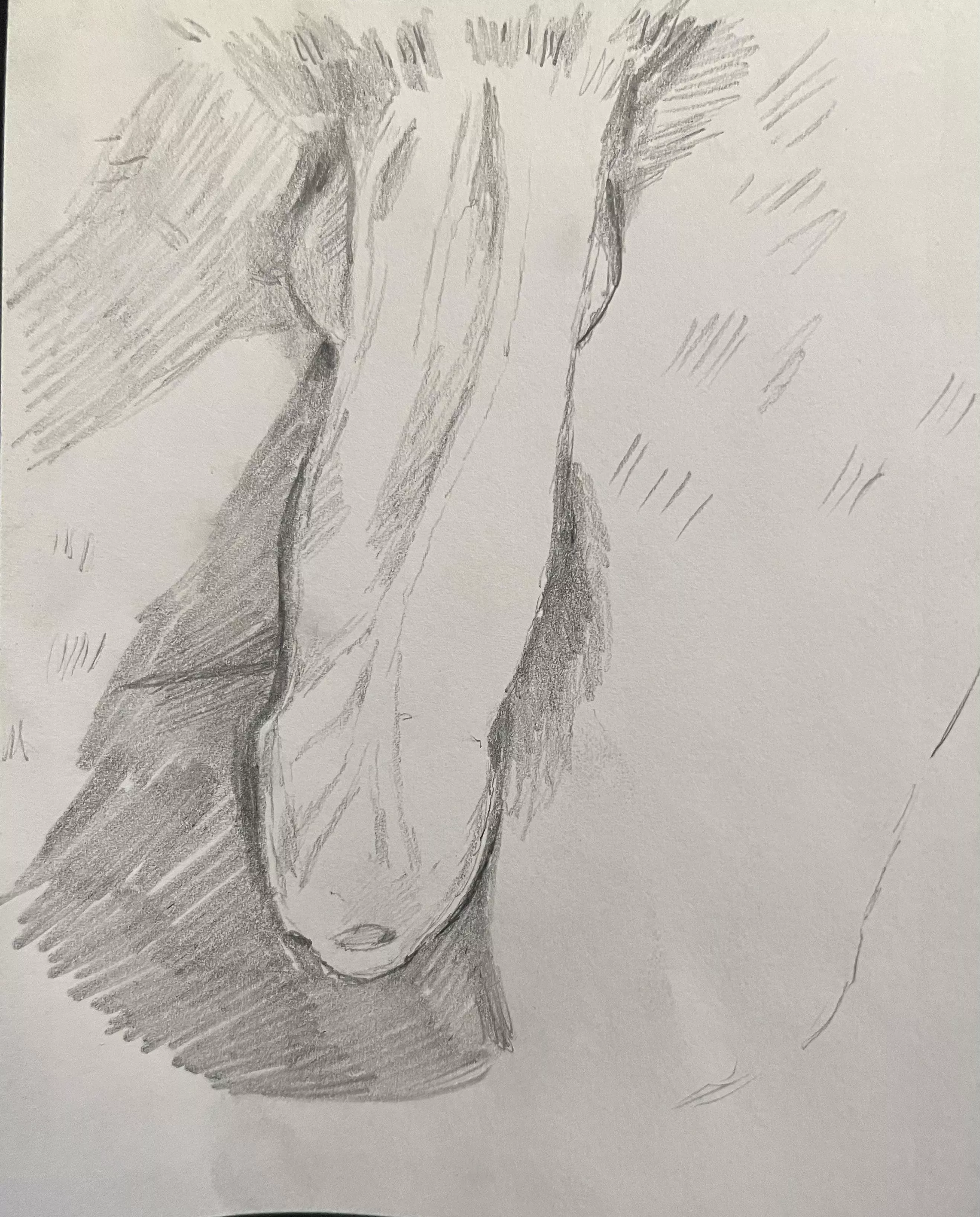 I can draw your dick posted by Still_Explorer_6519