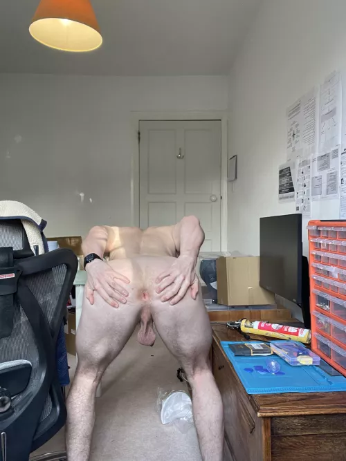 Like my hole? https://www.pornhub.com/model/psychonaut545435 by chilipeppersloth