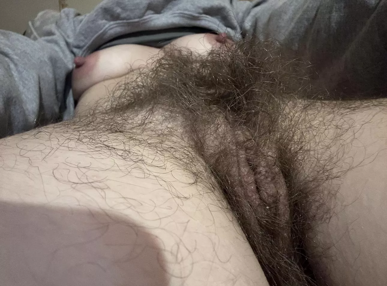 Not your average bush posted by tinkerbellagrl