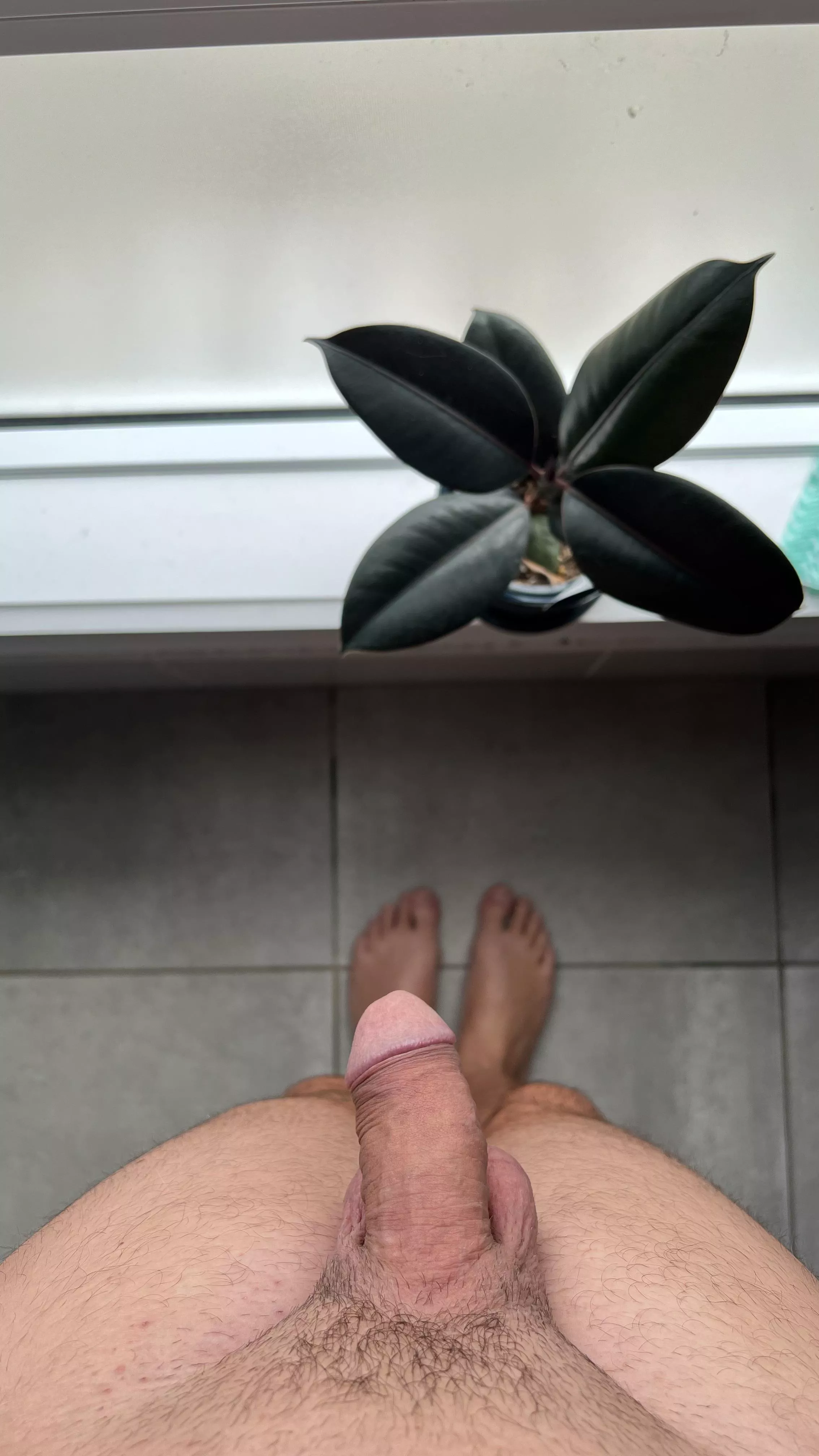 Watch me get hard by the window posted by slimozguy