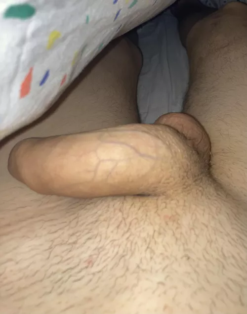 What do you do when you find this under the covers? by JakeyJacob24