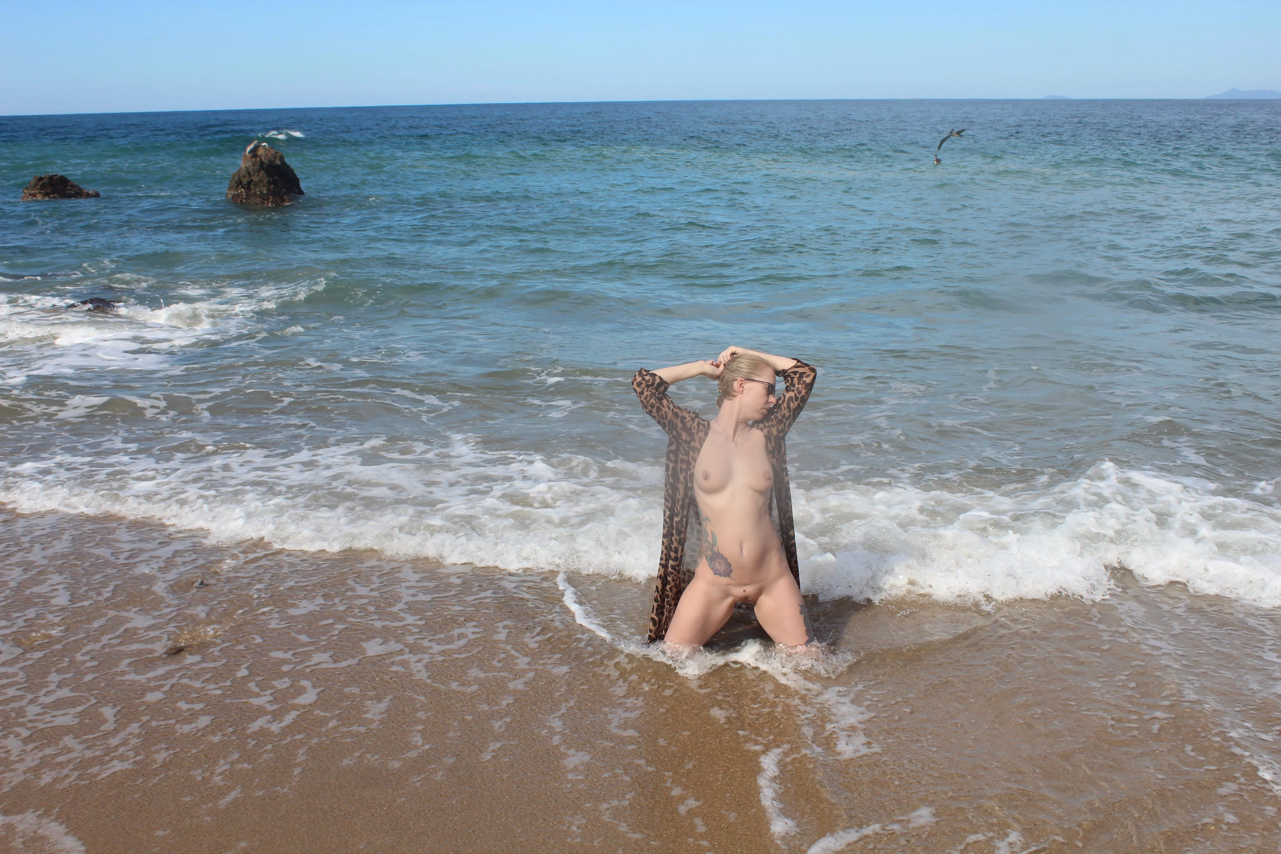 Which way to the Beach posted by TheHerbQueen40