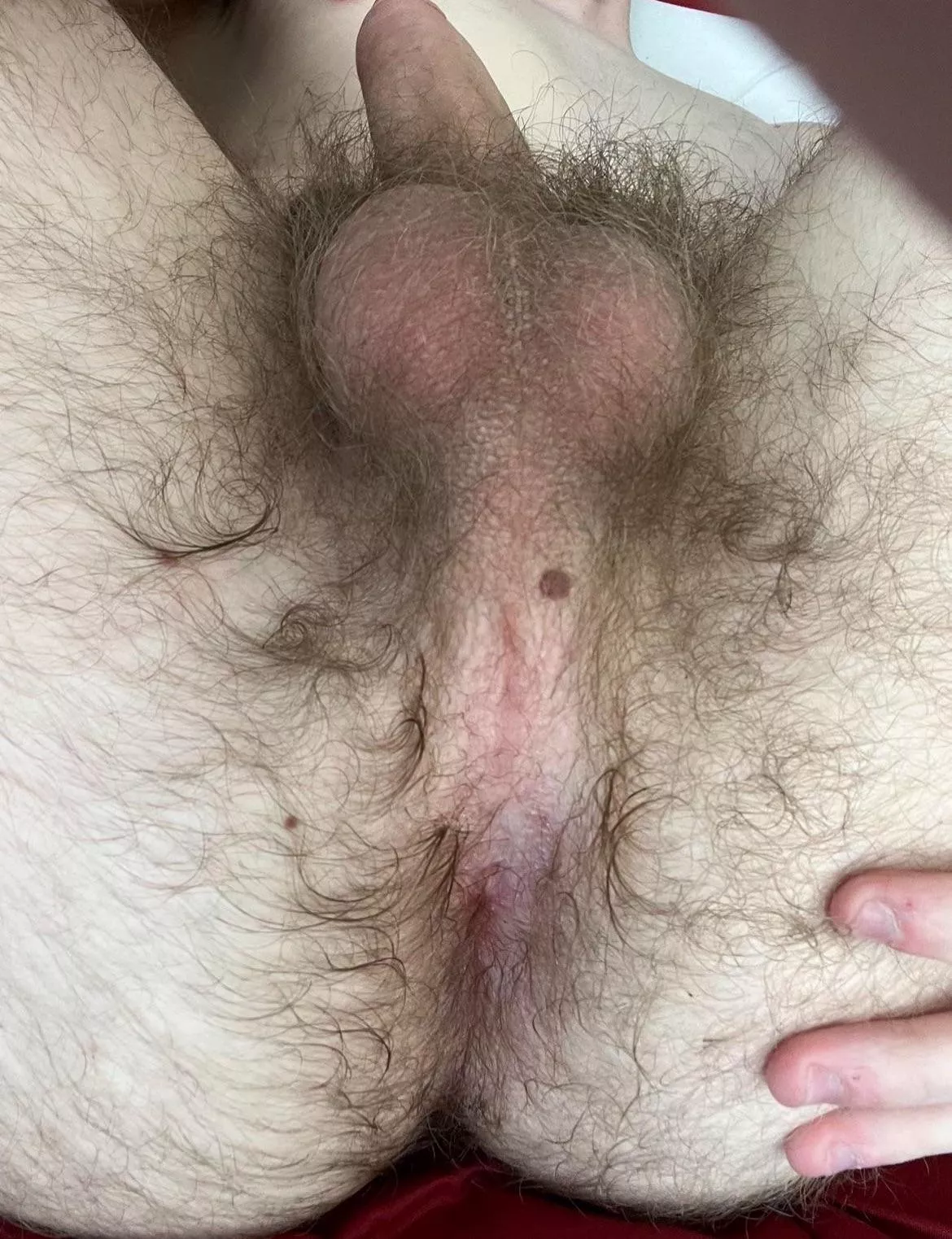 Would love someone’s face in there posted by bi-fur