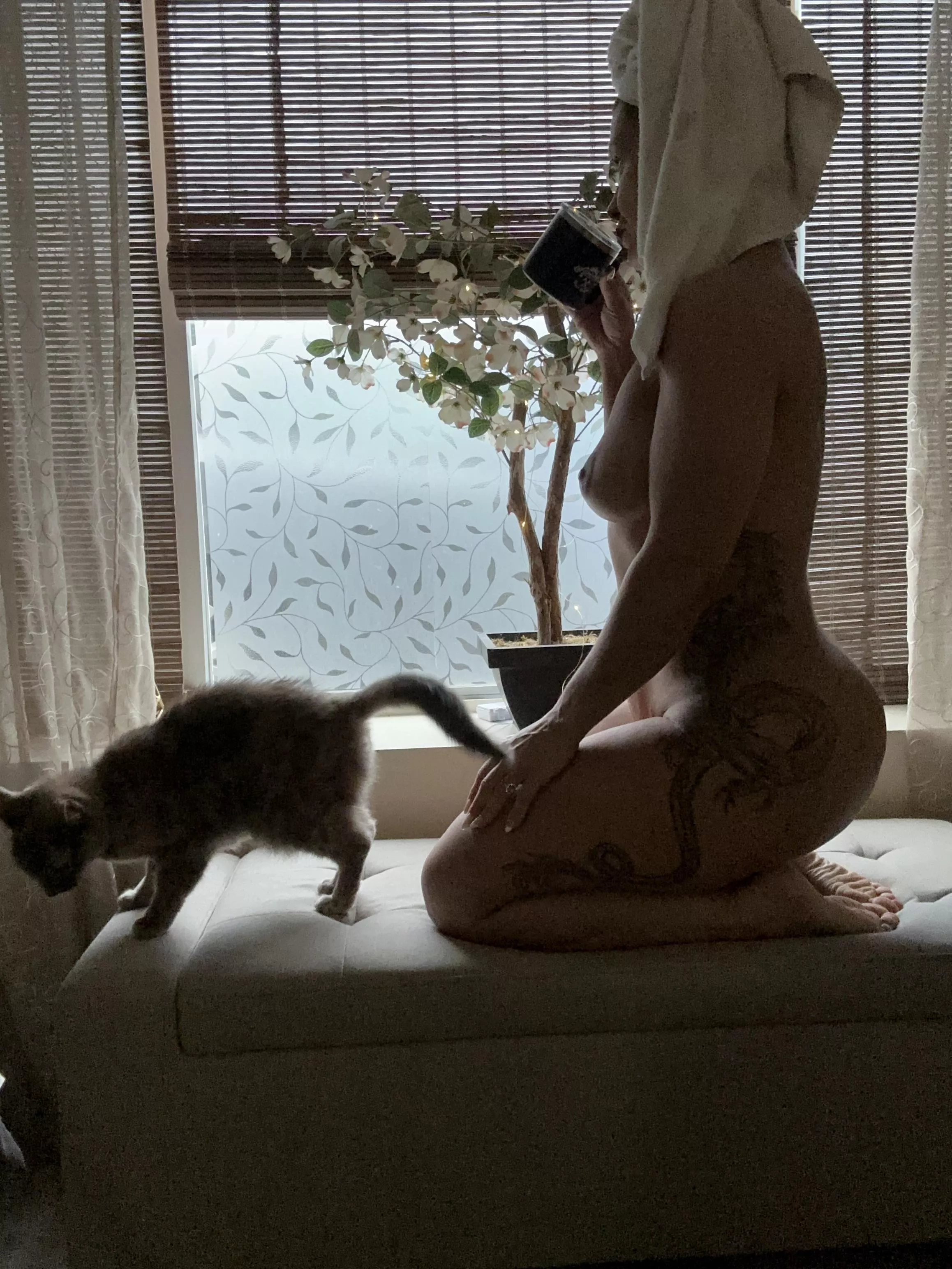 Curves in all the right places posted by PennyS777