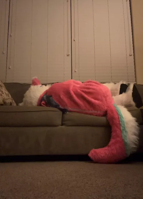 Don’t bother me by Ancient_Summer_1833